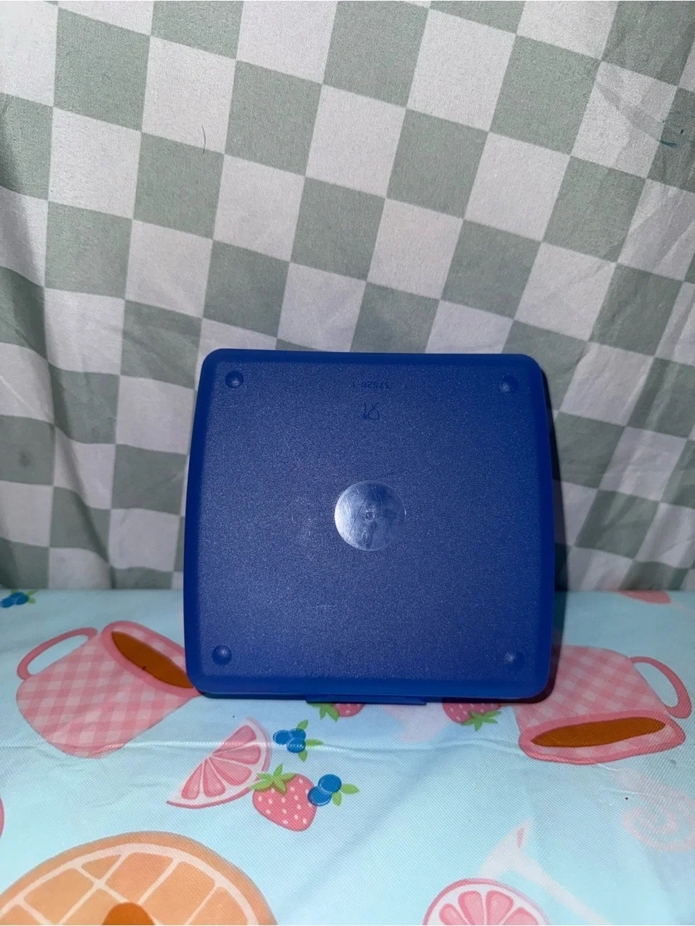 Blue Sandwich Tupperware Keeper